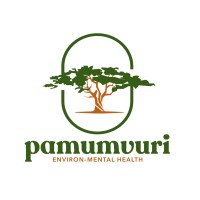 Pamumvuri
